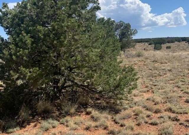Property at 823 S Lodestar Dr #383, Williams, AZ 86046