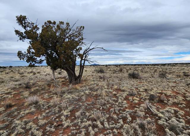 Property at 126 N Laguna Dr Lot D, Williams, AZ 86046