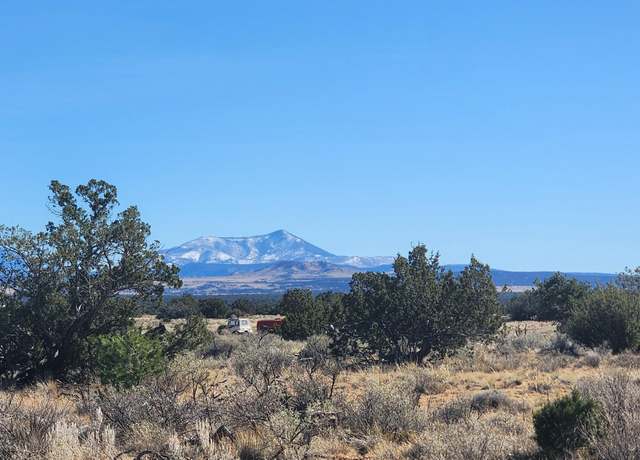 Property at 4686 E Oakwood Dr, Williams, AZ 86046