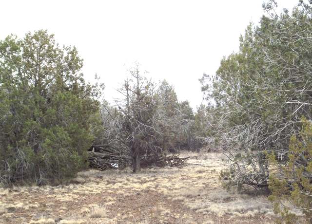 Property at 3581 N Knoll Dr, Williams, AZ 86046