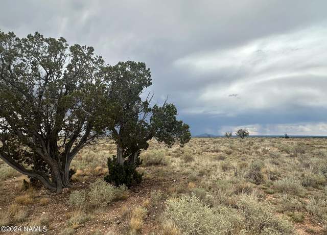 Property at 1224 E Valle Rd #8, Williams, AZ 86046