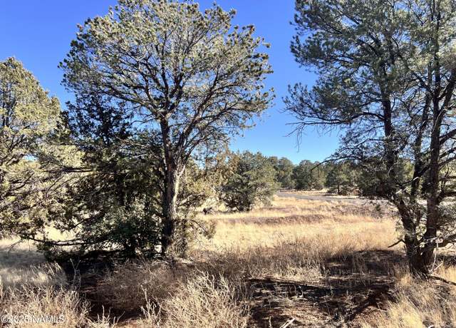 Property at 7277 Daisy Dr, Williams, AZ 86046