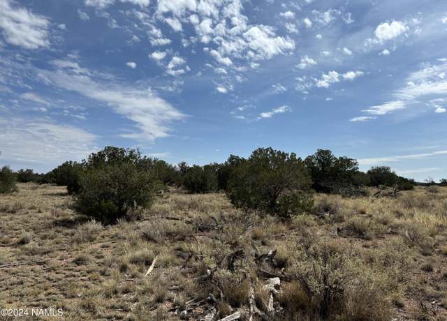 Property at 4685 E Oakwood Dr #103, Williams, AZ 86046
