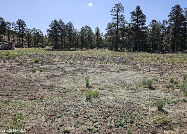 Property at 6668 Johnson Ranch Rd, Flagstaff, AZ 86004