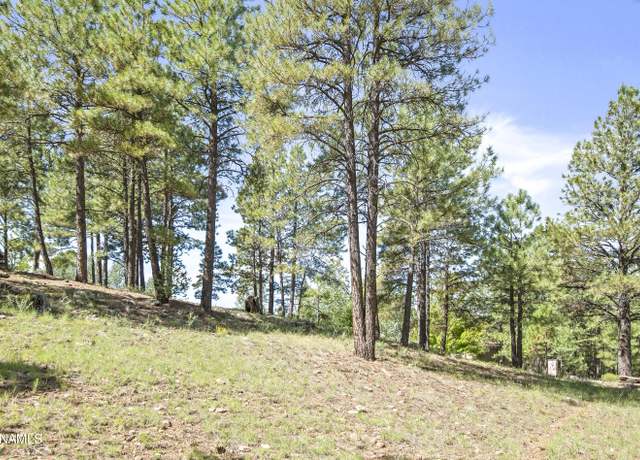 Property at 1654 N Wood Hollow Way, Flagstaff, AZ 86004