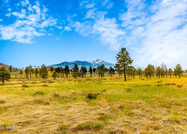 Property at 0 Snow Bowl Estates 2, Lot 7, Flagstaff, AZ 86001