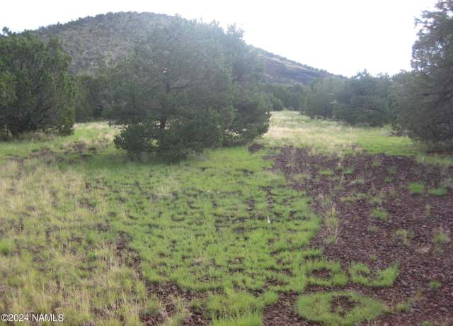 Property at 6087 N Joshua Tree Rd, Williams, AZ 86046