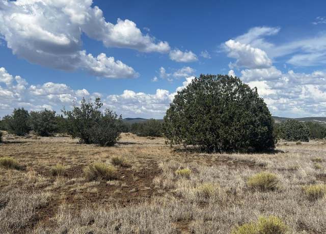 Property at 3101 W Yukon Dr #671, Ash Fork, AZ 86320