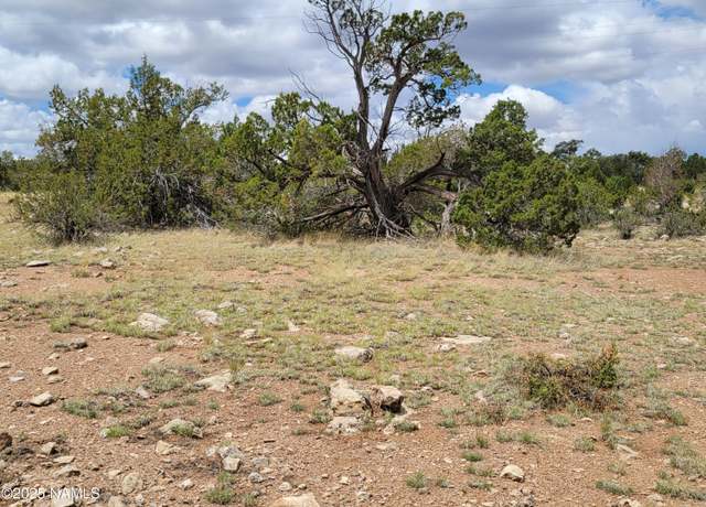 Property at 137 E Jackpine Ln, Williams, AZ 86046