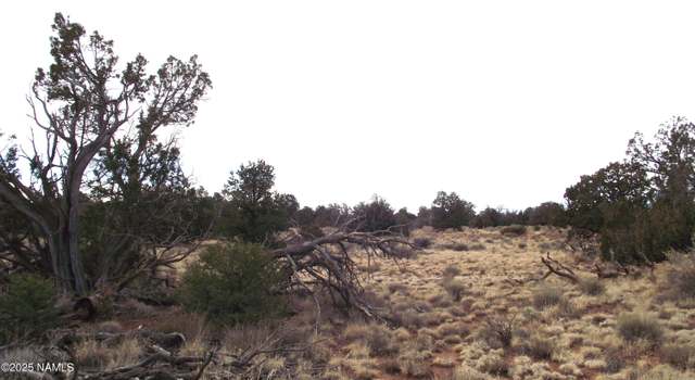 Photo of 4516 Parker Dr, Williams, AZ 86046
