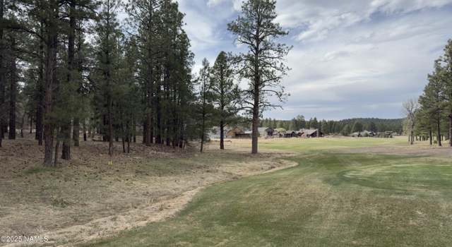 Photo of 911 S Torrey Pines Dr, Williams, AZ 86046