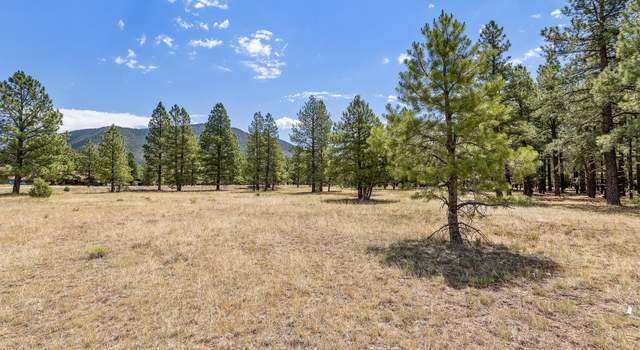 Photo of 479 E Moonrise Valley Dr, Flagstaff, AZ 86001