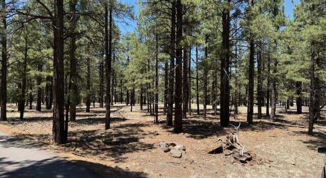 Photo of 6365 River Dr, Flagstaff, AZ 86004