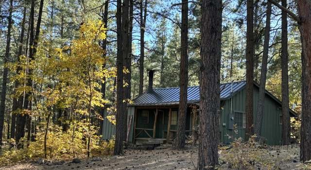 Photo of 6640 Mormon Lake Rd, Mormon Lake, AZ 86038
