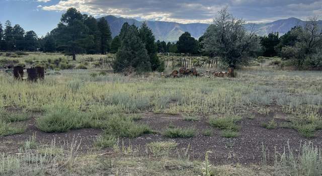 Photo of 8090 Fran Dr, Flagstaff, AZ 86004