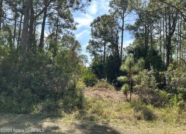 Property at 118 Hart St SW, Palm Bay, FL 32908