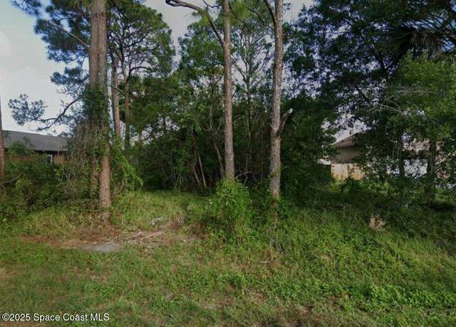 Property at 1055 Dolores Rd NE, Palm Bay, FL 32907