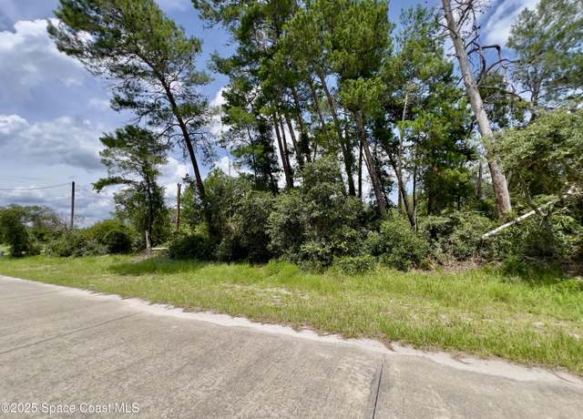 Property at 4181 Cinnamon Teal Dr, Mims, FL 32754