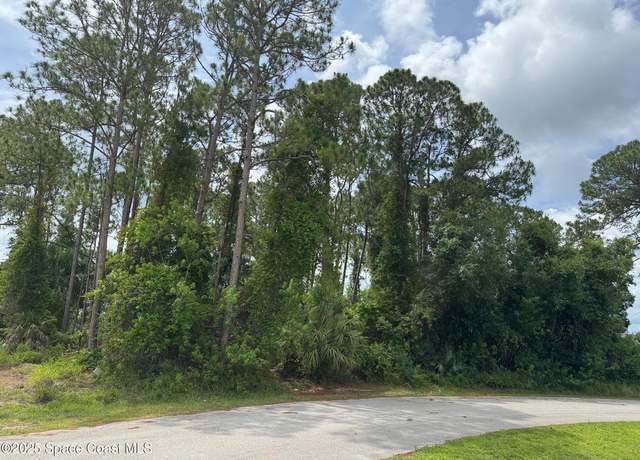 Property at 120 Angelo Rd SE, Palm Bay, FL 32909