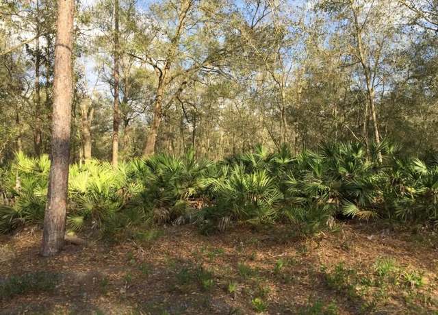 Property at 0 Unassigned Lot 1, Interlachen, FL 32148