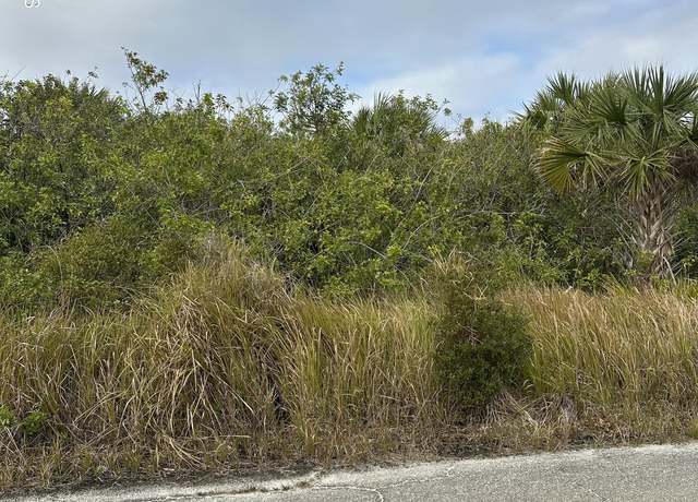 Property at 1350 Merganser St SW, Palm Bay, FL 32908
