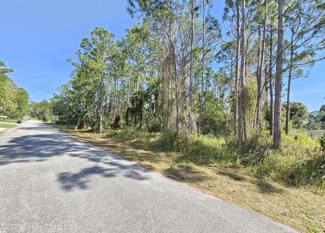 Property at 541 Darien Ave SW, Palm Bay, FL 32908