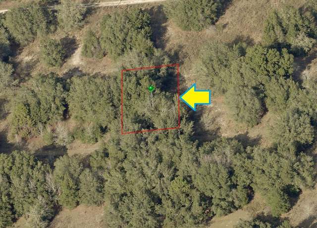 Property at 2308 Jefferson St, Inverness, FL 34453