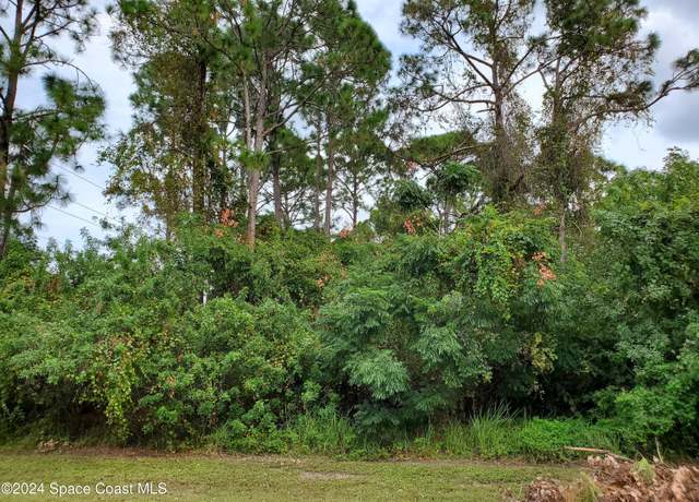 Property at 1295 Kamay Ave NW, Palm Bay, FL 32907