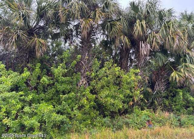 Property at 1341 Laredo St SW, Palm Bay, FL 32908