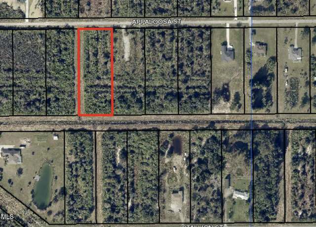Property at 285 Appaloosa St, Palm Bay, FL 32909