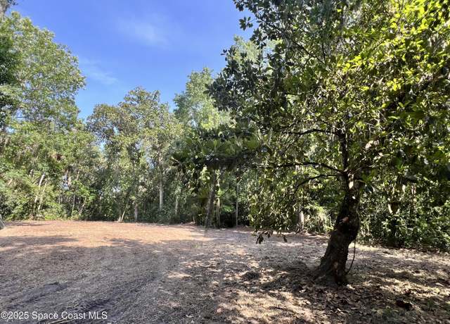 Property at 0000 Sandra Ln, Mims, FL 32754