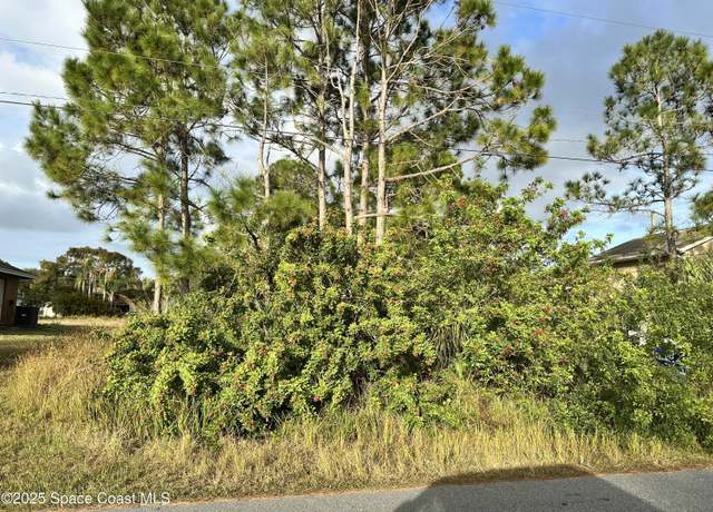 Property at 1485 Tidewell St SE, Palm Bay, FL 32909