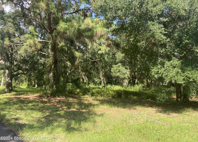 Property at Xxx E Hickory Cir, Mims, FL 32754
