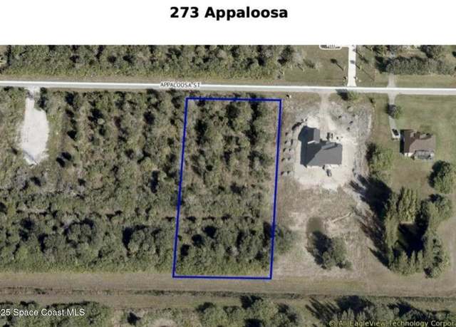 Property at 273 Appaloosa St, Palm Bay, FL 32909