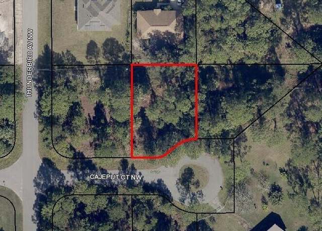 Property at 1817 Cajeput Ct NW, Palm Bay, FL 32907