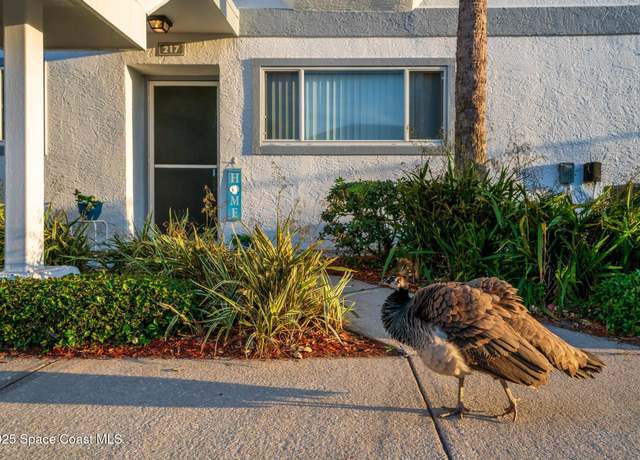 Property at 217 Ocean Park Ln Unit V49, Cape Canaveral, FL 32920, 2 beds, 2 baths