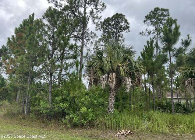 Property at 1690 Weiman Rd SE, Palm Bay, FL 32909
