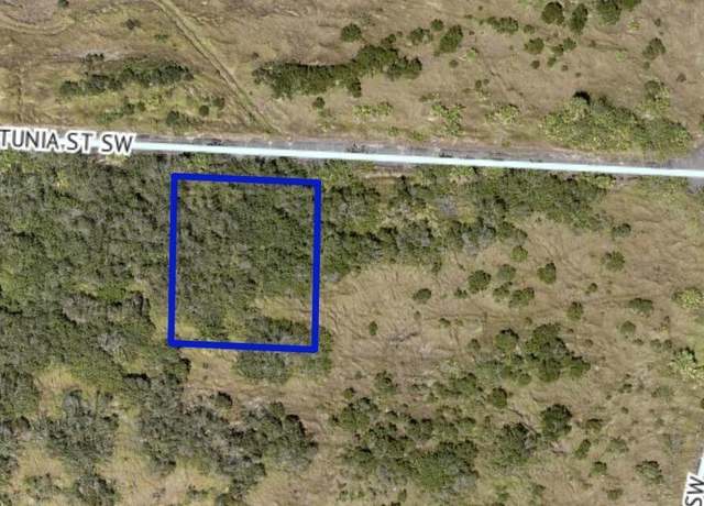 Property at 1520 Petunia St SW, Palm Bay, FL 32908