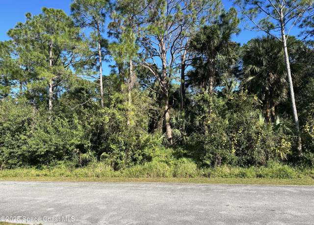 Property at 239 Trembley Ave SW, Palm Bay, FL 32908