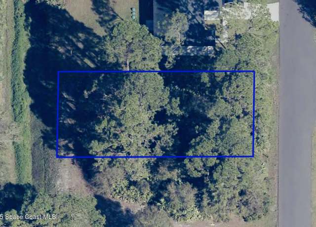 Property at 516 Carpenter Ave NW, Palm Bay, FL 32907