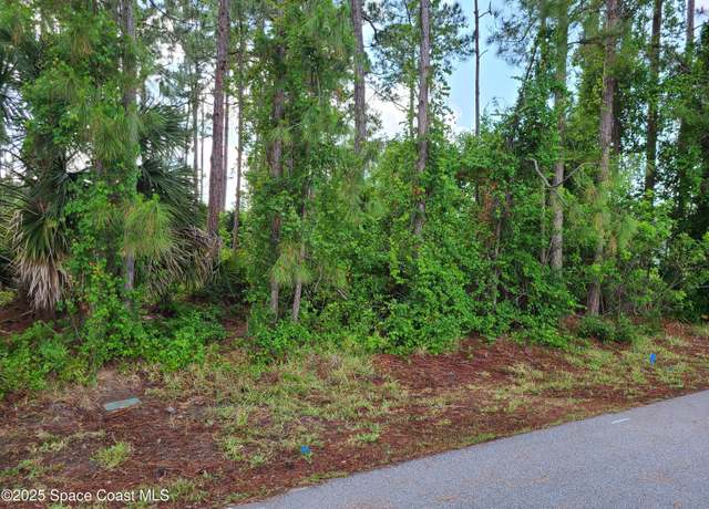Property at 875 Cochran Rd SE, Palm Bay, FL 32909