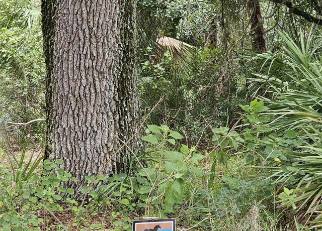 Property at 32801 Hwy 441 Lot 192, Okeechobee, FL 34972