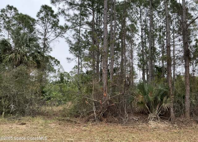 Property at 137 Santa Rosa Ave SW, Palm Bay, FL 32908