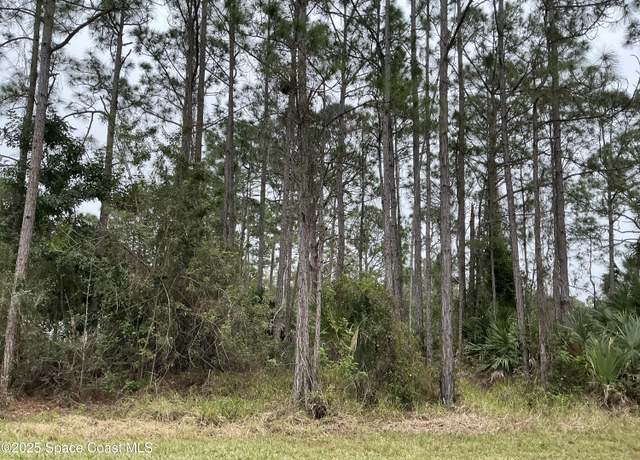 Property at 125 Santa Rosa Ave SW, Palm Bay, FL 32908