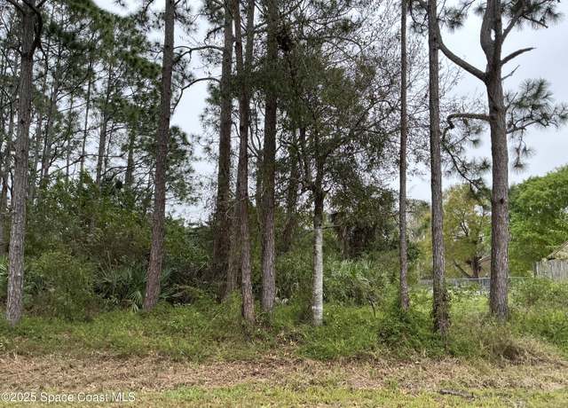 Property at 149 Santa Rosa Ave SW, Palm Bay, FL 32908