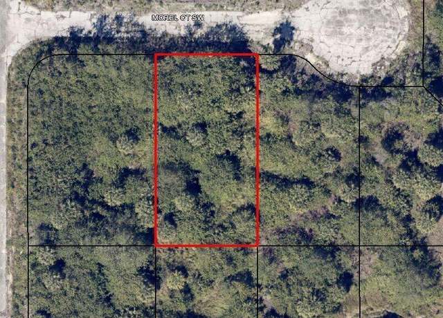 Property at 972 Morel Ct SW, Palm Bay, FL 32908