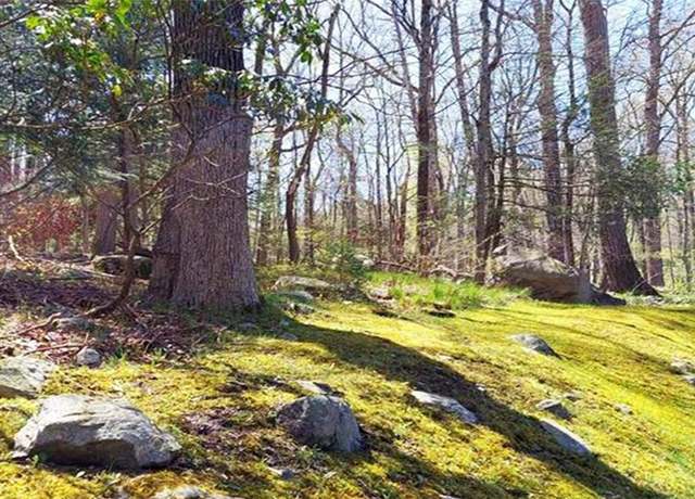Property at Pine Road & Pepperidge Rd, Tuxedo Park, NY 10987