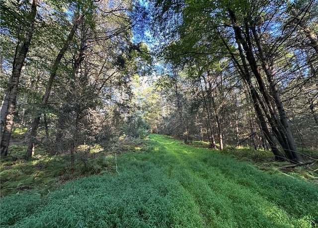 Property at Lot 15-8 Ward Brower Jr Dr, Barryville, NY 12719