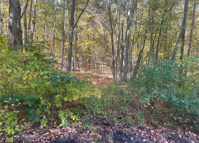 Property at 0 Budd Ln, Millerton, NY 12546