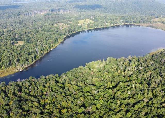 Property at Elko Lake Lot 54 Rd, Parksville, NY 12768